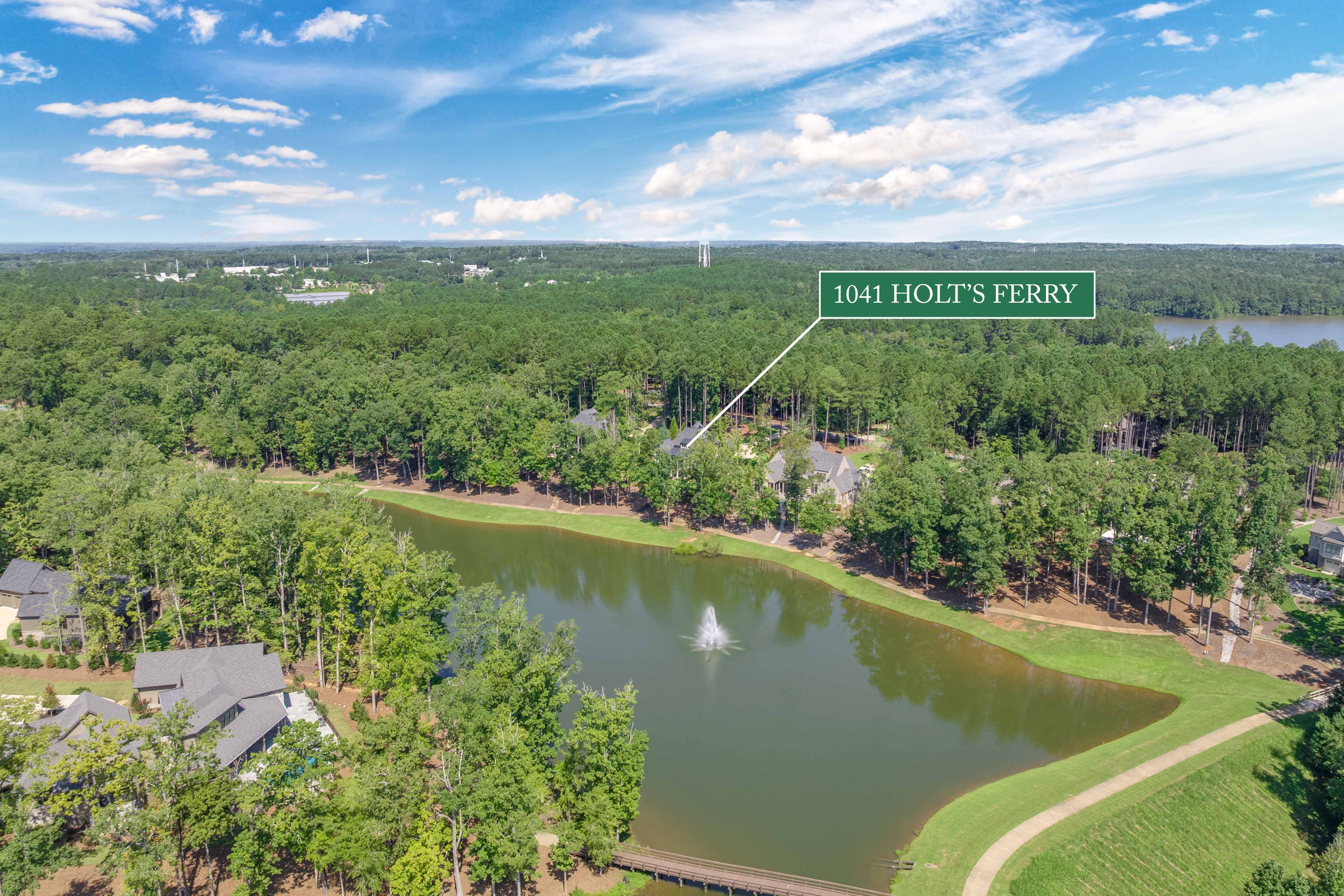 1041 Holt's Ferry image 66